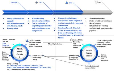 Estimating precision and accuracy of automated video post-processing: A step towards implementation of AI/ML for optics-based fish sampling